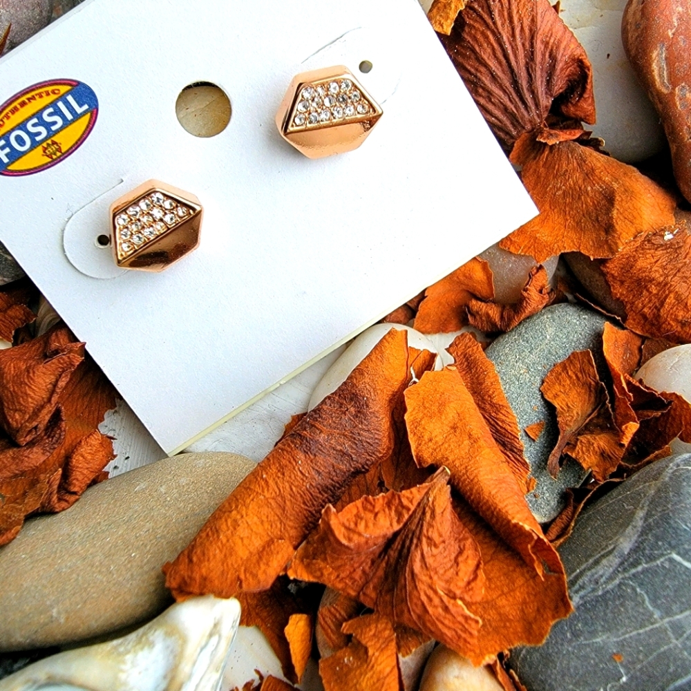 Fossil earring